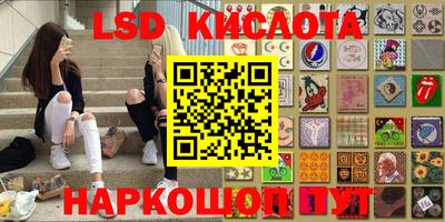 молекула духа Можга